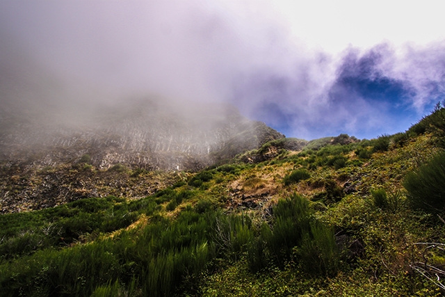 23 IMG_0448 site.jpg
